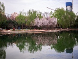 柳暗花明又一春