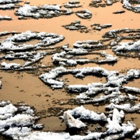 黄河流冰如花似玉演绎“大合唱”