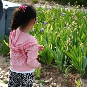 世园-孩子们 （世园全民摄影大赛参赛作品） 组图