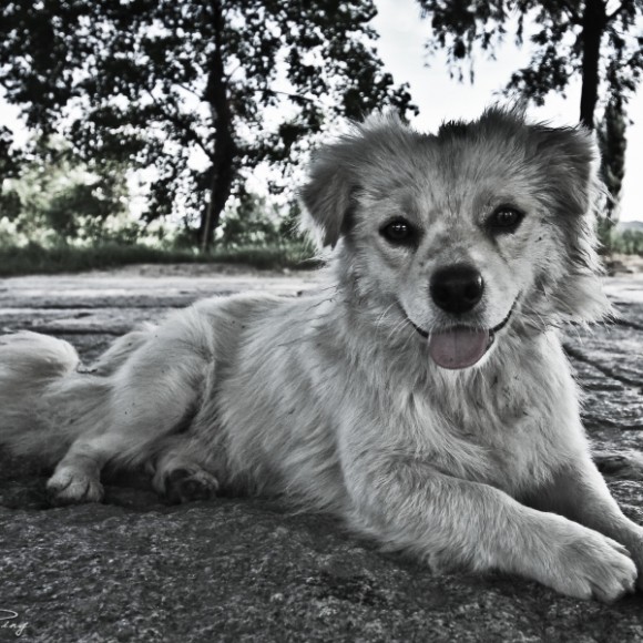 【安徽摄影爱好者，前来灌水，望大家批评建议！！！】