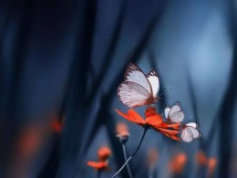 这样的照片才能叫摄影作品！