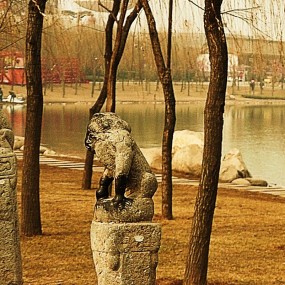 “停车位”偏多