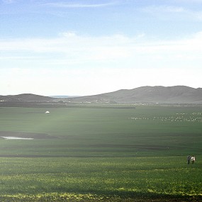 呼伦贝尔草原：心中的歌