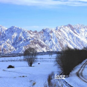 银装素裹.分外妖娆