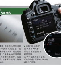 28-300 mm挑战蜀南竹海