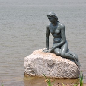 世园会参赛作品——你的魅力看不够