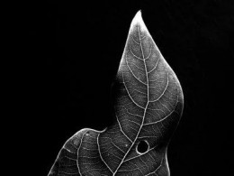 历届获荷赛奖的中国摄影师作品