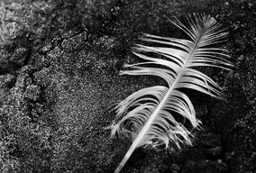 Lisa Bernardini 纪实摄影作品欣赏