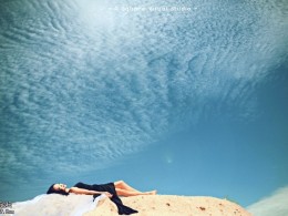 沙漠中的黑天鹅