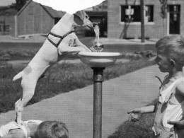 朋友圈里最动人的22张照片，感动到泪奔……