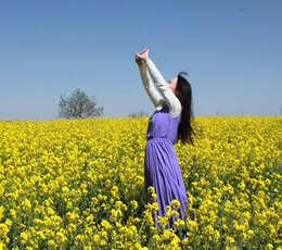 油菜花的季节