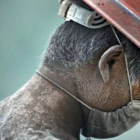 在同一场摄影赛中，如何使你的作品脱颖而出？