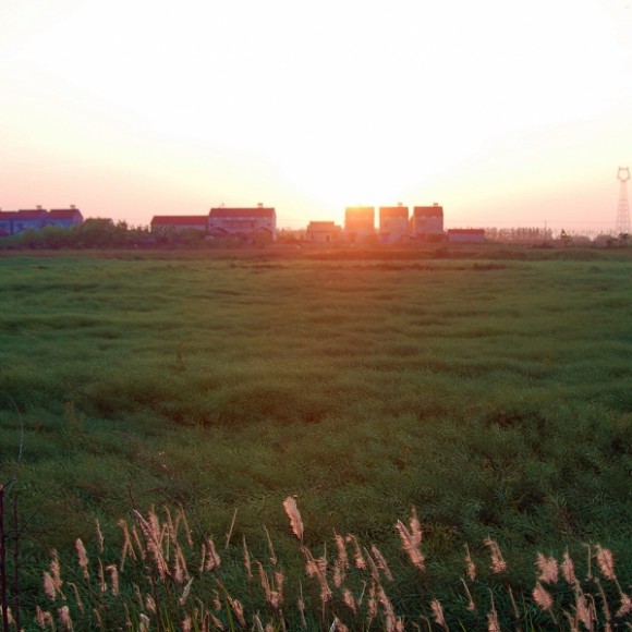 《几度夕阳红》