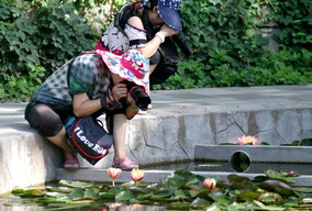 专注拍摄的两位摄影爱好者