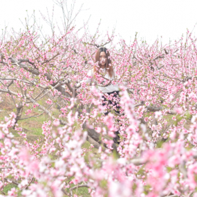 没有桃，有桃花