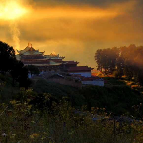 金色的天空金色的顶