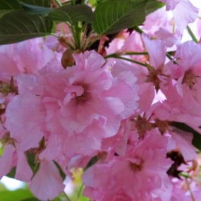 【原创】新手发帖，请大师们多指导多批评。