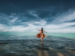 海面上有一只翩翩起舞的彩蝶