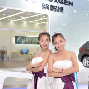 2013年10月车展之美女篇
