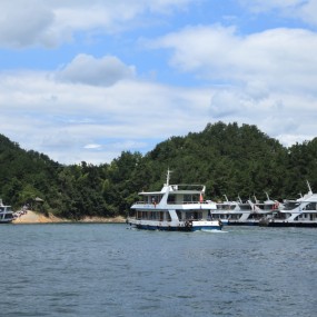 千岛湖的蟒、蛇