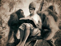 艺术 生态 摄影