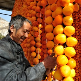 人面硕果相映红