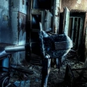 遗弃的精神病院 - Drew Geraci