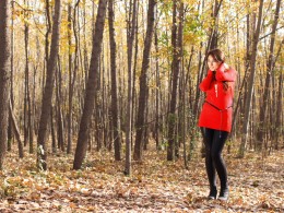 袅袅秋风  木叶下