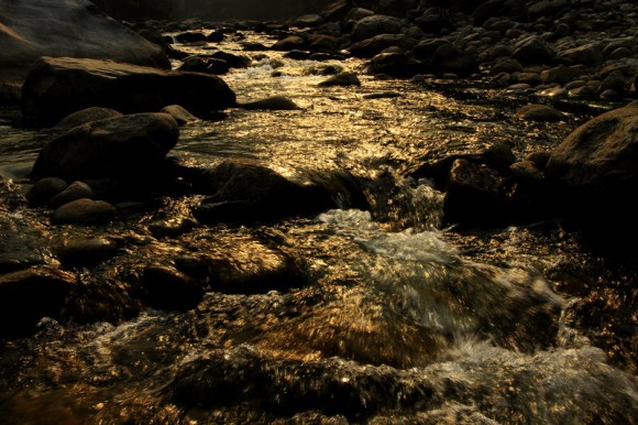 乱拍沣峪口之流金溢彩