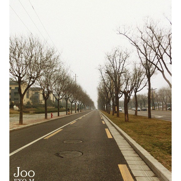 《 Joo 》