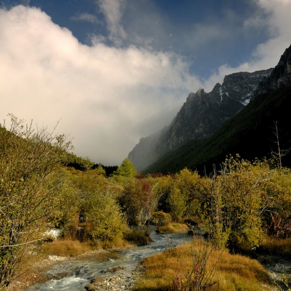 远山呼唤，听风赏雨
