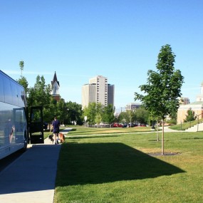 牵狗狗的美国女郎——