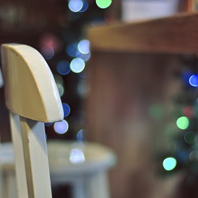 鹿 光斑 圣诞树 玫瑰