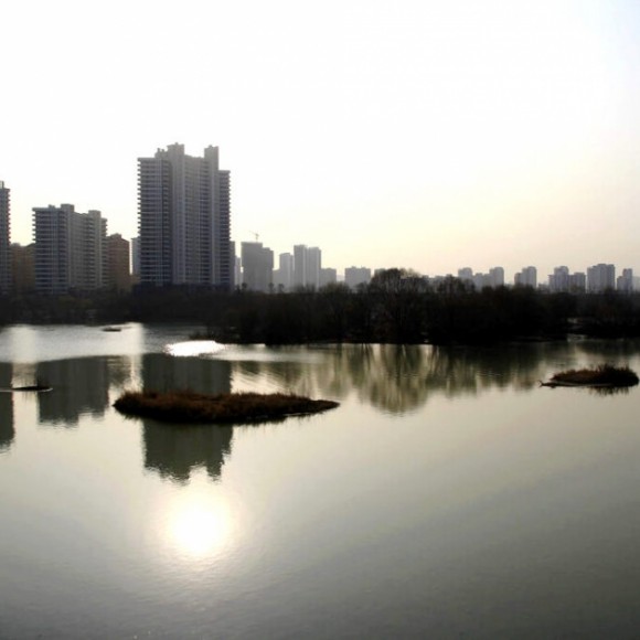 霸河湿地处女作