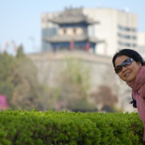 ——“风采依旧”的尼康D40——