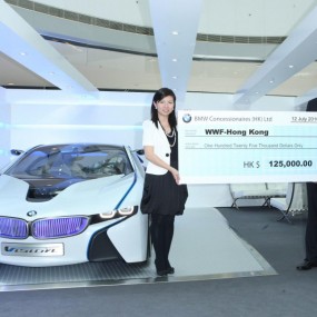 BMW Vision EfficientDynamics