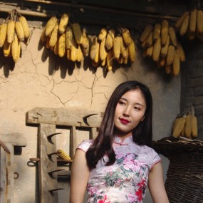 农家小院—小雁塔旗袍人像