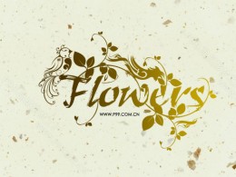 【品摄影】静态电影——【花】