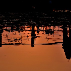 城北运动公园随拍