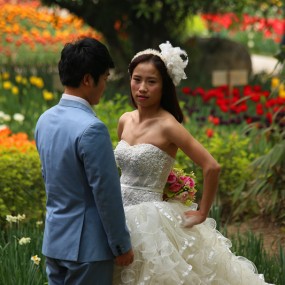 清明时节赏花人