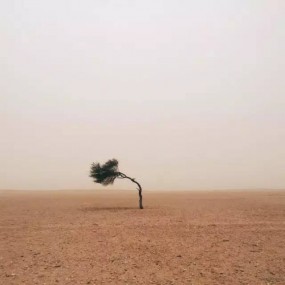 回顾2015 iphone冠军摄影