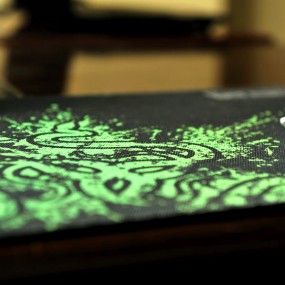 测试一下尼康和佳能的色彩