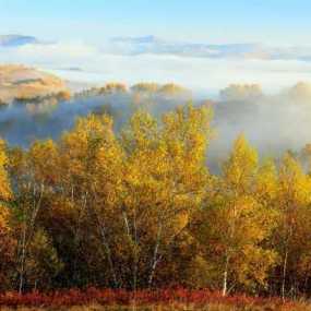 坝上那让人难忘的风光