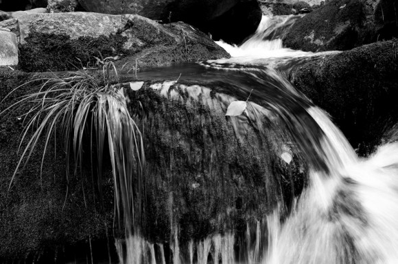 梦溪——几张黑白小片