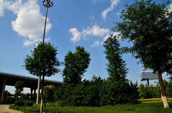 西三环边的蓝天。2012.6.7.万像更新