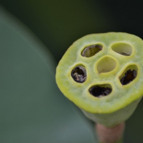 北京景山公园北海公园