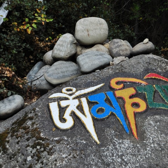 只为虔诚的再去一次【最爱西藏林芝】