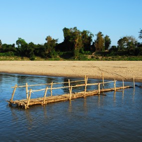 候鸟之旅-----南国田园风光