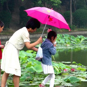 你雨中的花折伞，有人替你打。