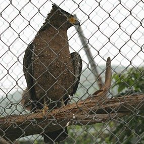 女儿镜头下的越南——